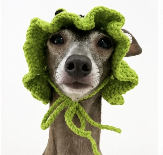 Gorro para mascotas's foto | Alma Hilo |  BizneCubano